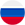 russian